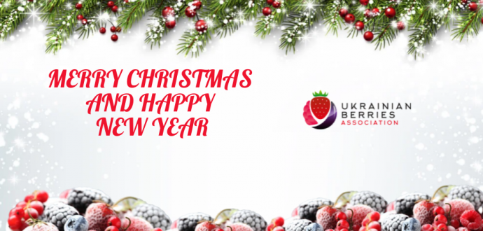 Merry Christmas and Happy New Year! 
